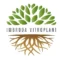 Imbroda Vitroplant - Agricultura en Coín Imbroda Vitroplant - Agricultura en Coín
