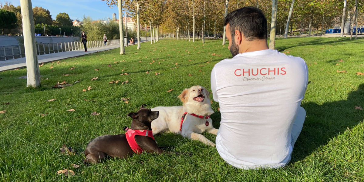 Chuchis Educación Canina