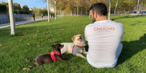 Chuchis Educación Canina - Adiestrador canino en Madrid Chuchis Educación Canina - Adiestrador canino en Madrid