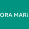 Évora Marine S.L. - Taller de reparación de embarcaciones en Palma Évora Marine S.L. - Taller de reparación de embarcaciones en Palma