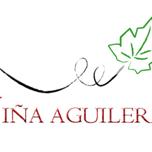 Foto de BODEGA VIÑA AGUILERA en La Aguilera - Imagen 1