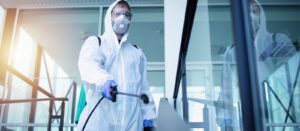 Plagasur S.L. - Empresa de fumigación y control de plagas en El Zabal Plagasur S.L. - Empresa de fumigación y control de plagas en El Zabal