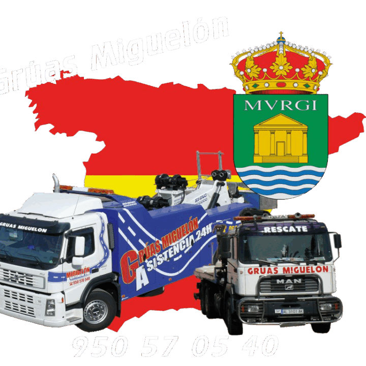 Foto de Asistencias Miguelón en El Ejido - Imagen 1