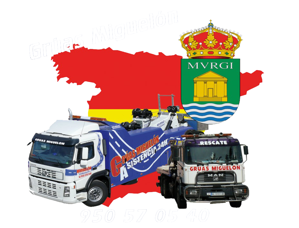 Imagen de Asistencias Miguelón