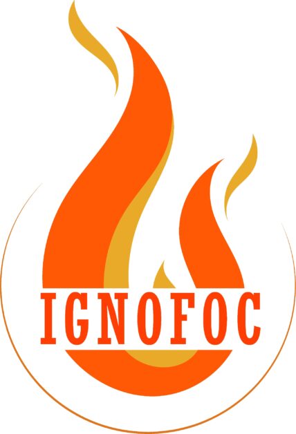 Imagen de IgnoFoc Sistemas