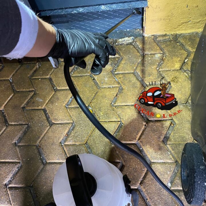 Foto de CUCASOL DDD - Control de plagas Sevilla en Alcalá de Guadaíra - Imagen 1