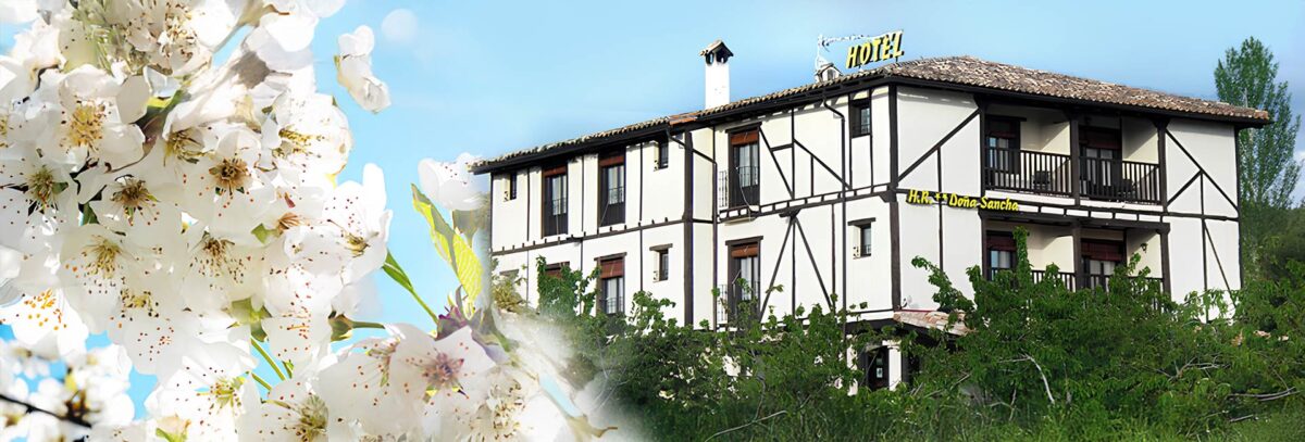 Hotel Doña Sancha - Hotel de 2 estrellas en Covarrubias