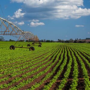 Foto de Agrofiscal en Torrefarrera - Imagen 1