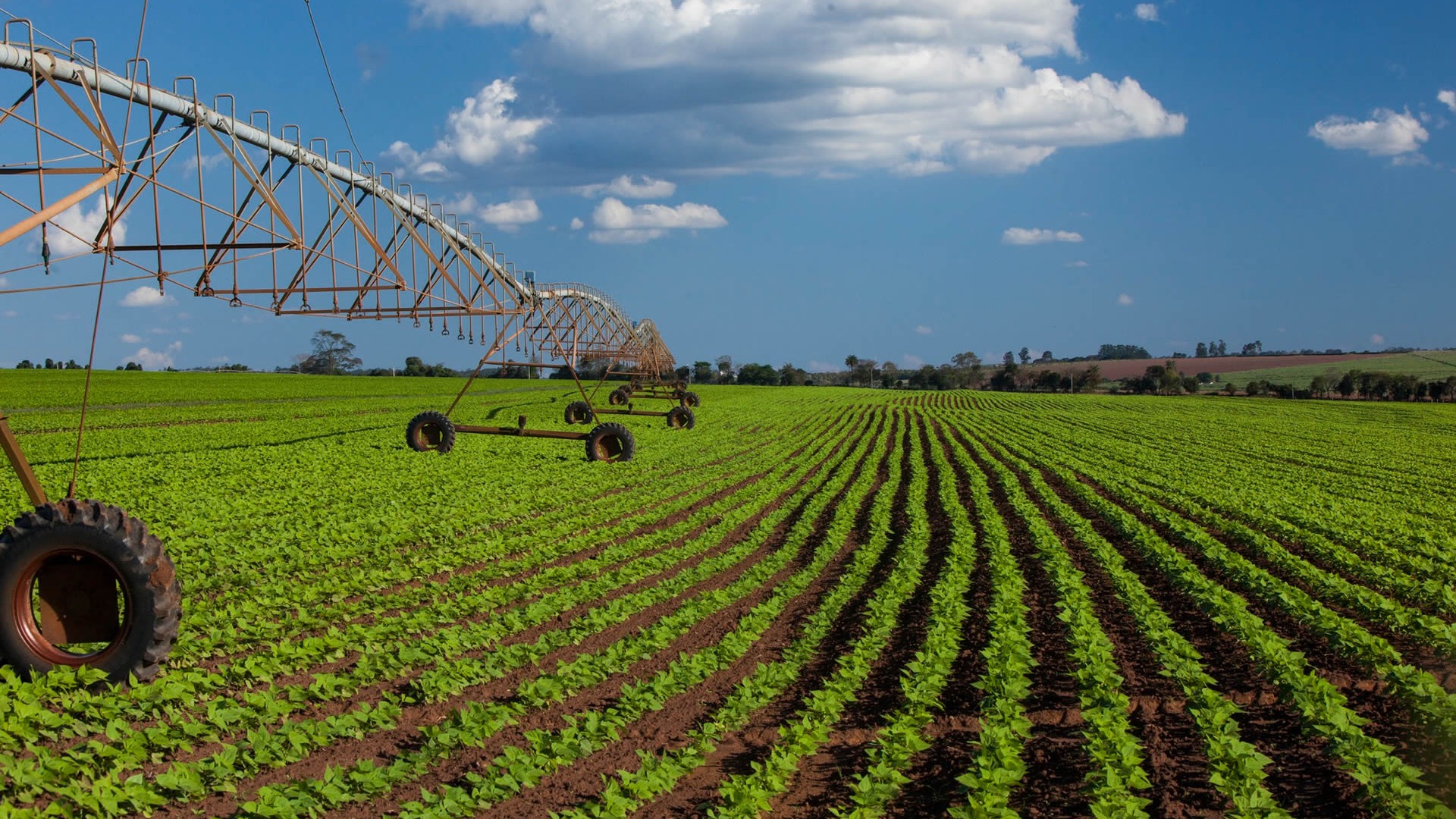 Agrofiscal