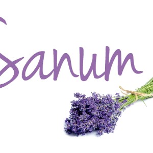 Logo de Centro Sanum