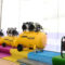Miniatura 9