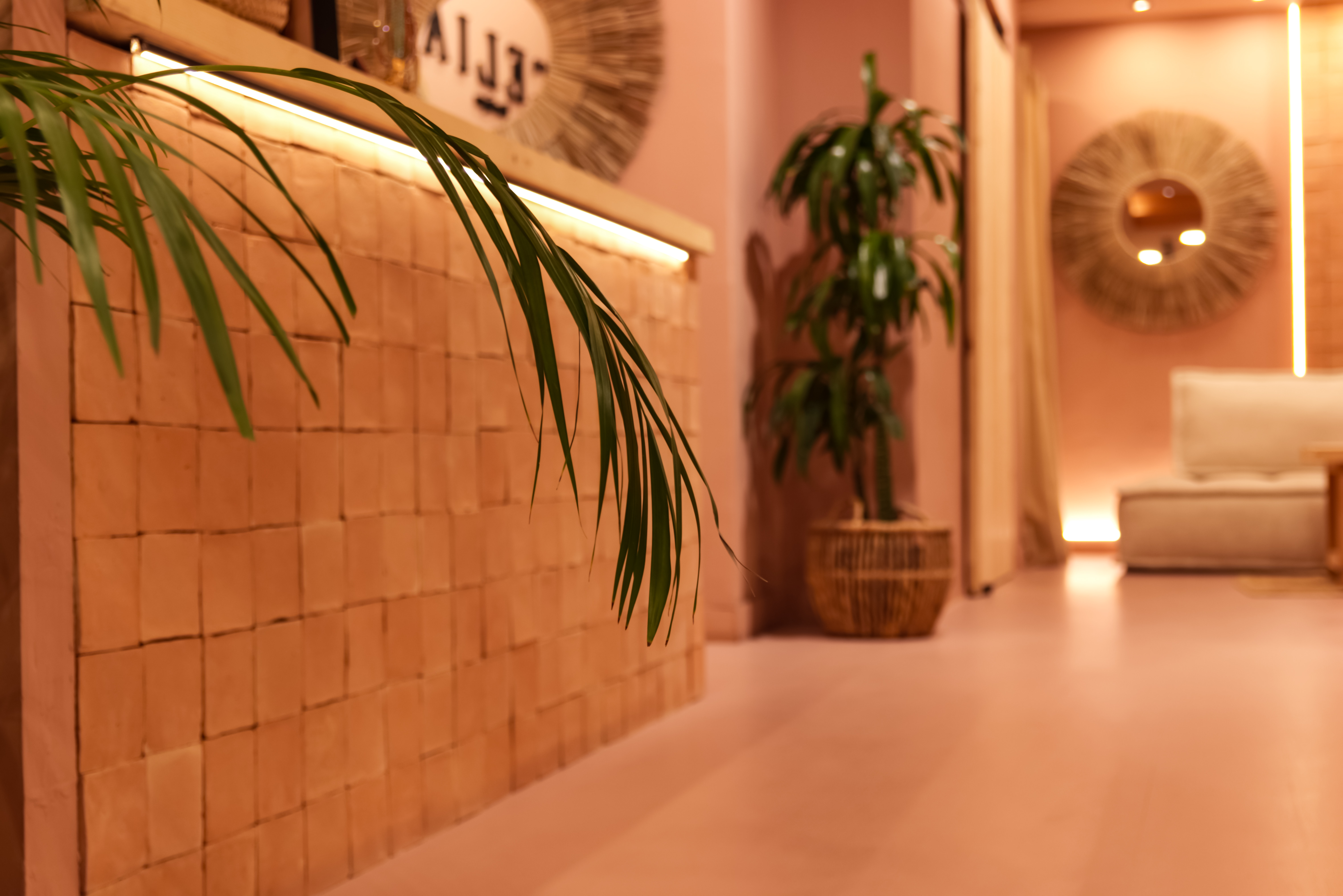 Celia Boutique - Imagen 1