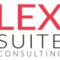 LEXSUITE CONSULTING S.L. - Asesor fiscal en Huelva LEXSUITE CONSULTING S.L. - Asesor fiscal en Huelva