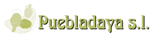 Logo de Puebladaya S.L.