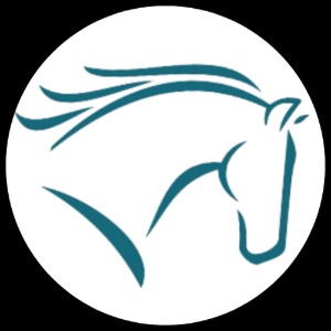 Logo de Zaino's Capital