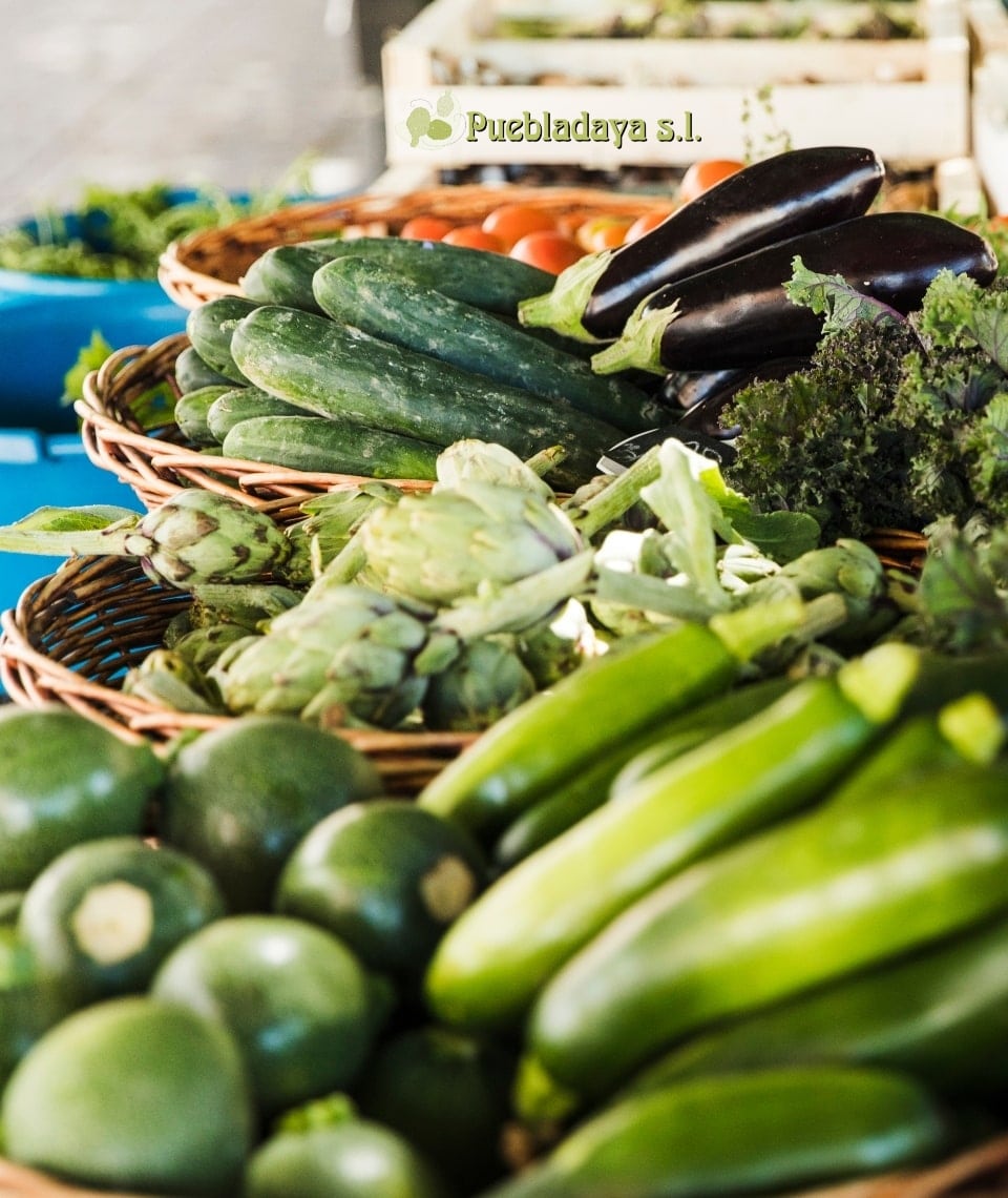 Foto de Puebladaya S.L.