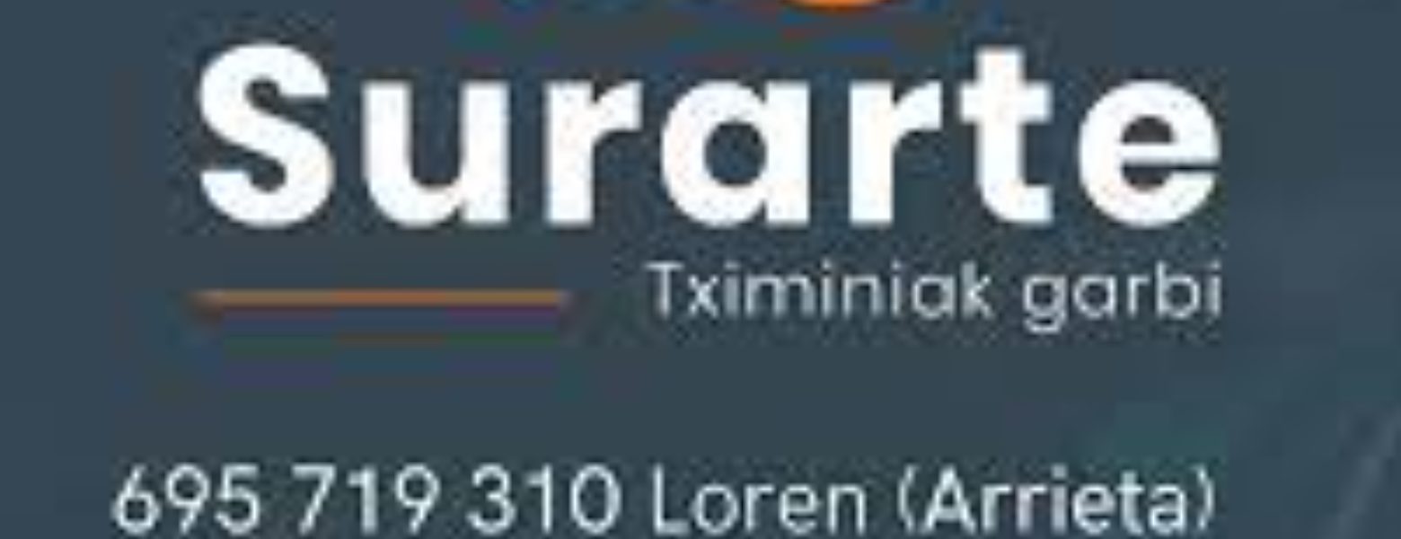 Surarte (limpieza de chimeneas) - Imagen 2