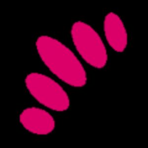 Logo de Xavier Turell - Masajista y Acupuntor en Sabadell