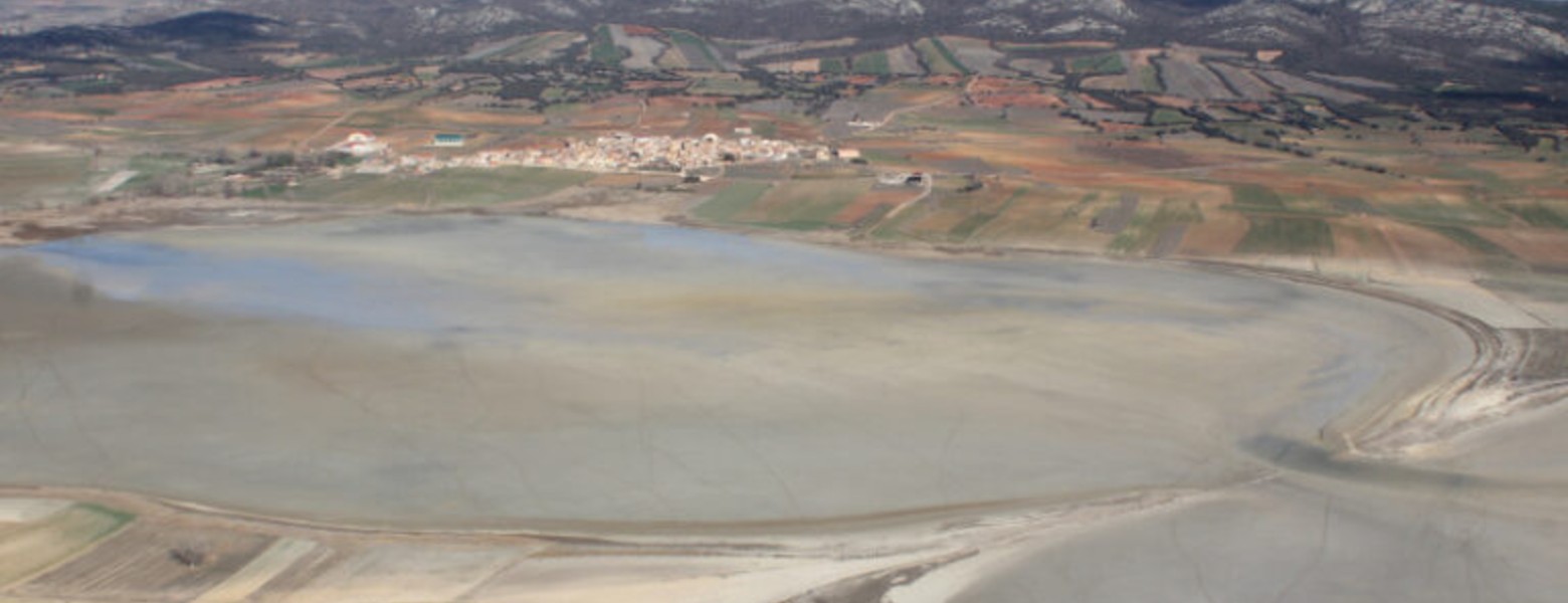 Allucant
