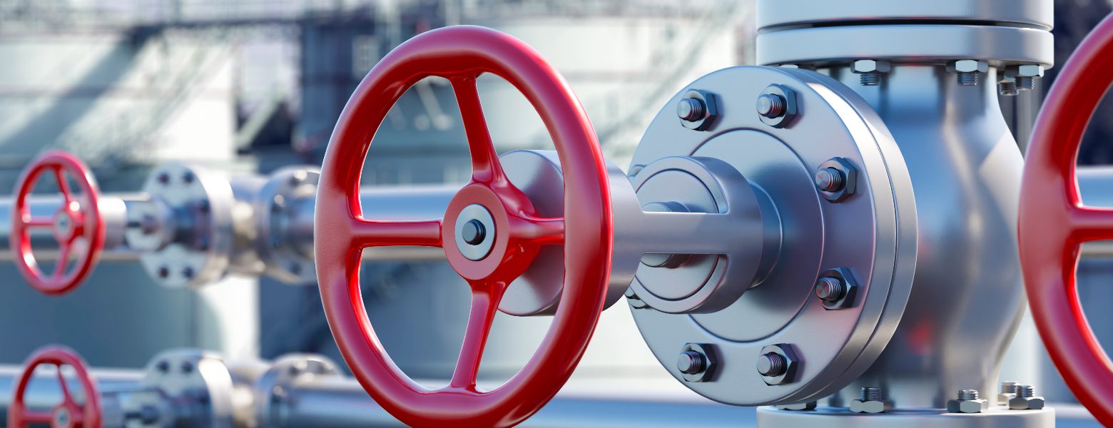 MARCUS CHAVES VALVES & SERVICES - Imagen 5