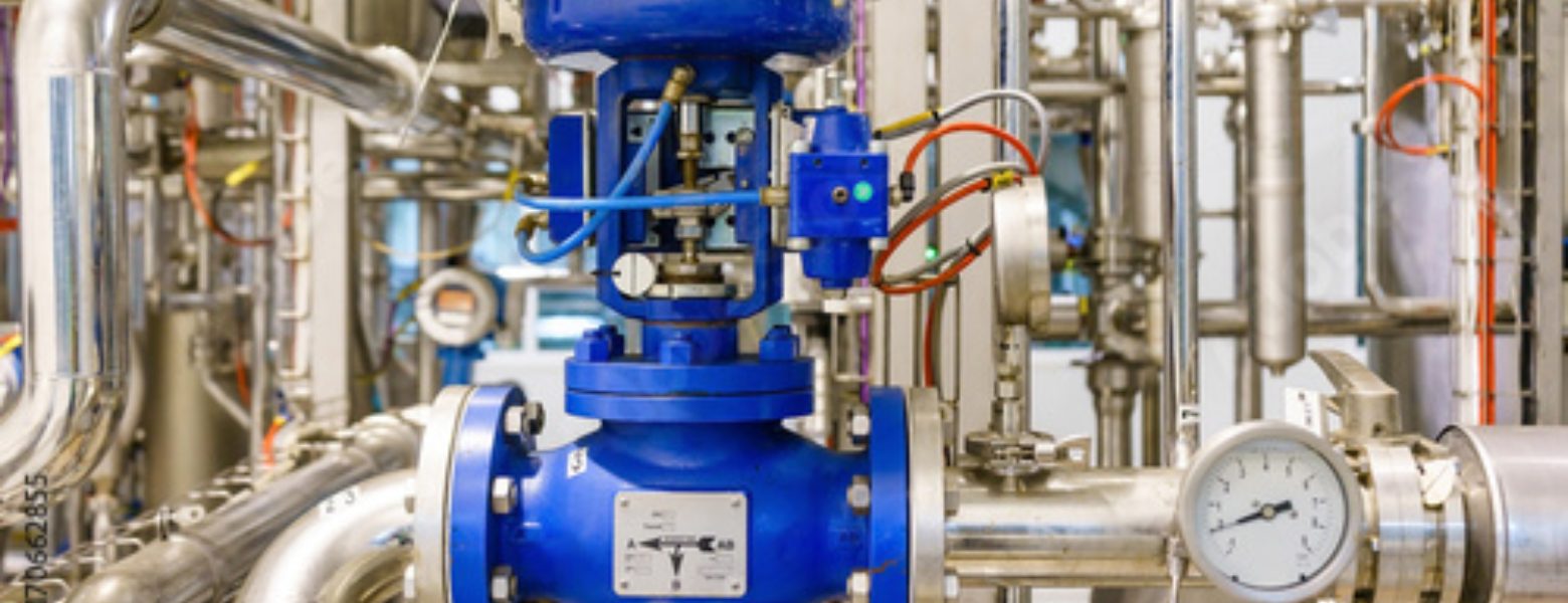MARCUS CHAVES VALVES & SERVICES - Imagen 3