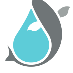 Logo de Las Termas de Ruham