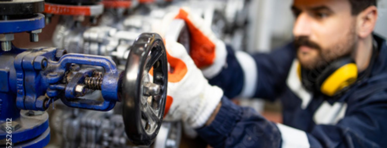 MARCUS CHAVES VALVES & SERVICES - Imagen 1