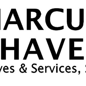 Logo de MARCUS CHAVES VALVES & SERVICES