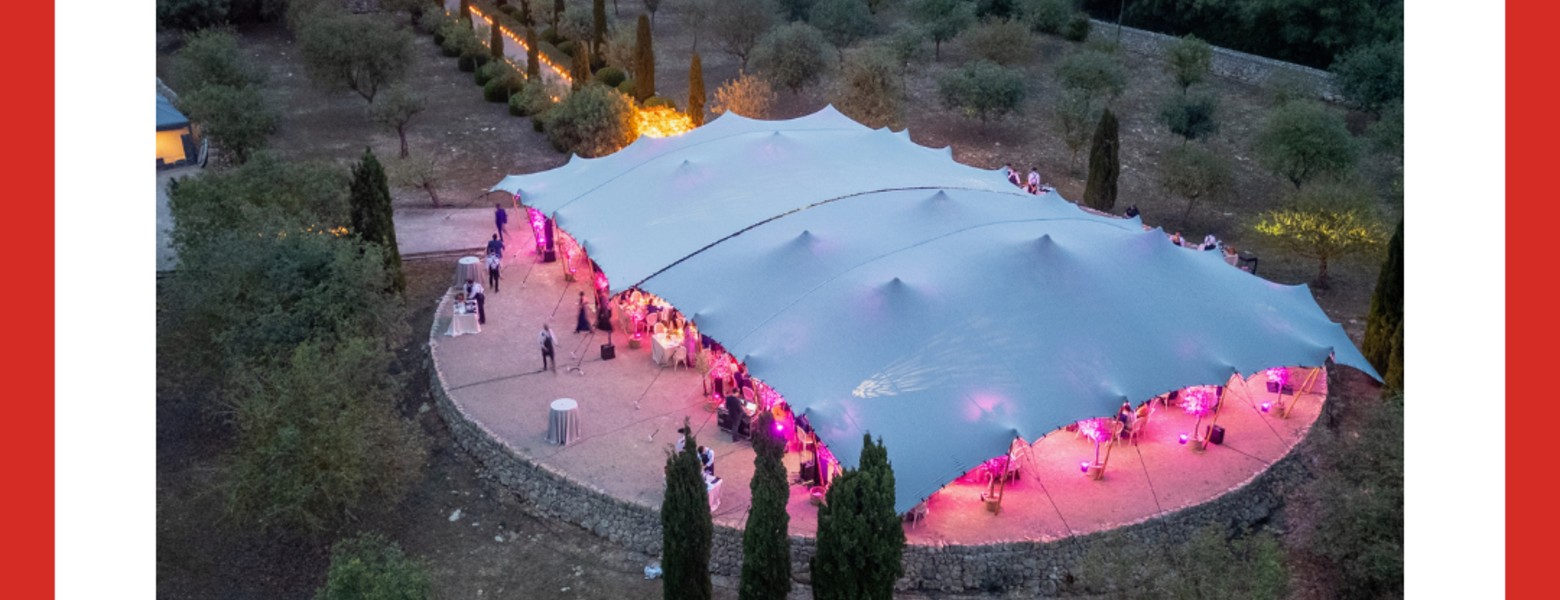 TENTAGENT - Imagen 6