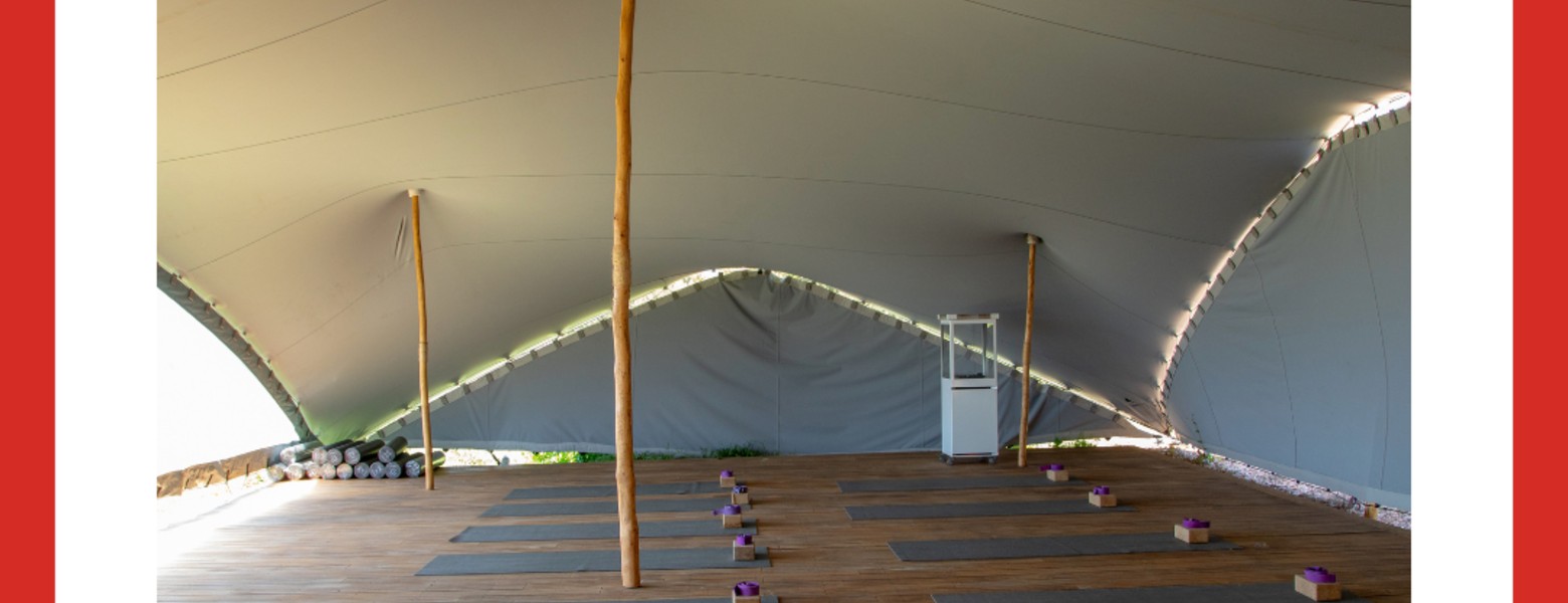 TENTAGENT - Imagen 2