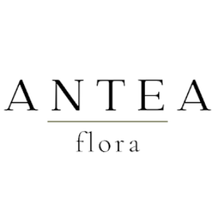Logo de Floristería Antea Flora | Flores a domicilio Valencia