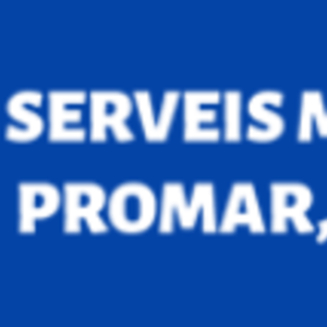 PUERTO SERVEIS MARITIMS PROMAR