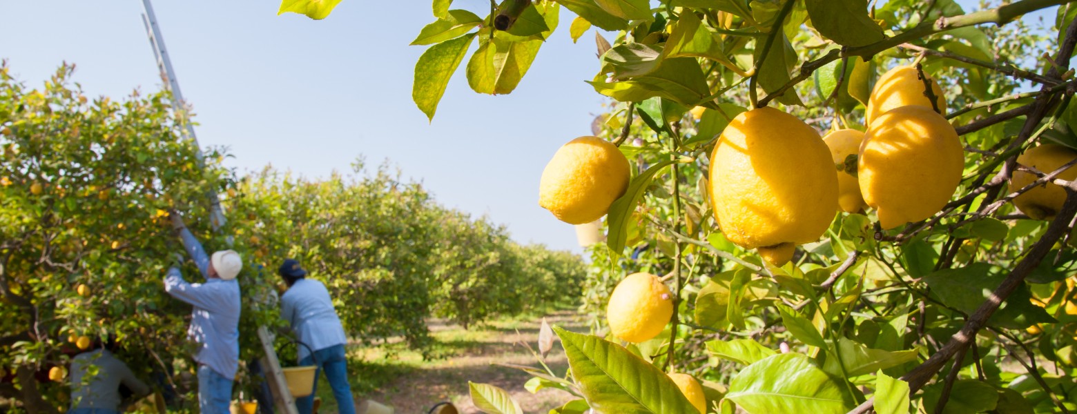 Riverbend España - Imagen 1