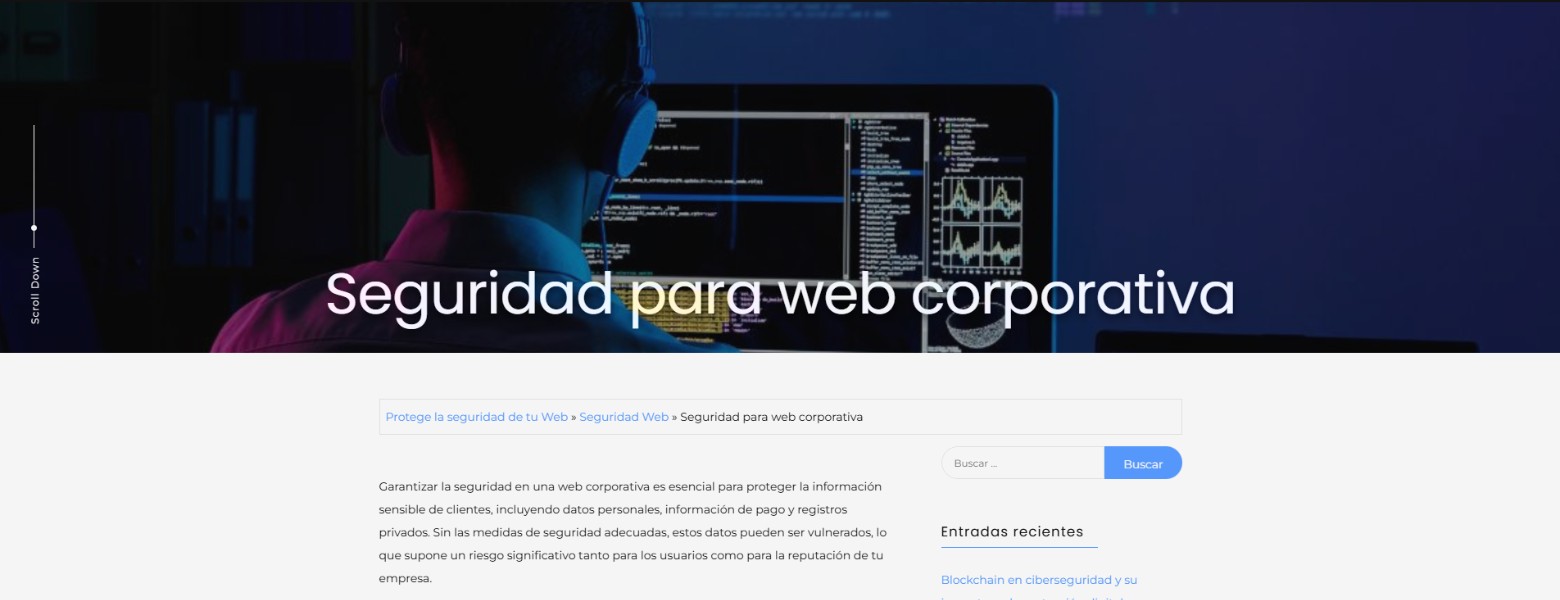 Asesoría Seguridad Web - CloudsDefense - Imagen 2