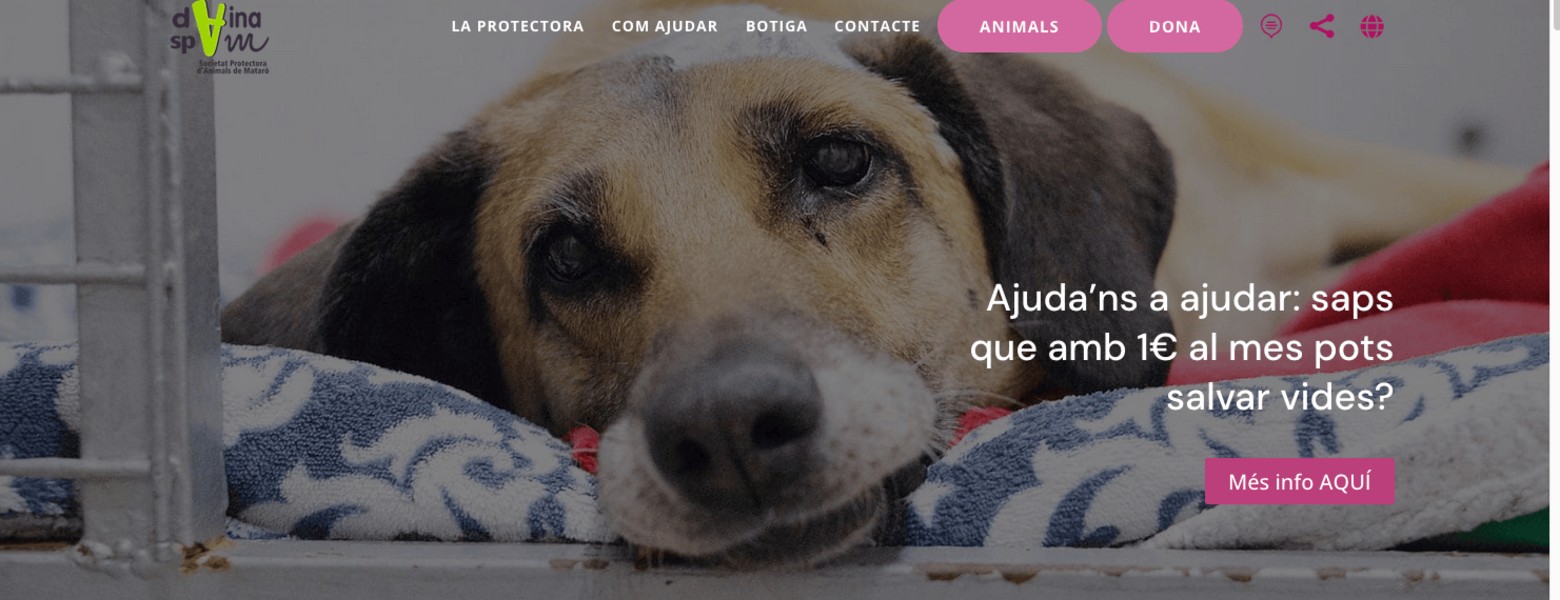 imesdisseny | Disseny i auditoria web a Mataró, Marquèting Digital i Apps - Imagen 2