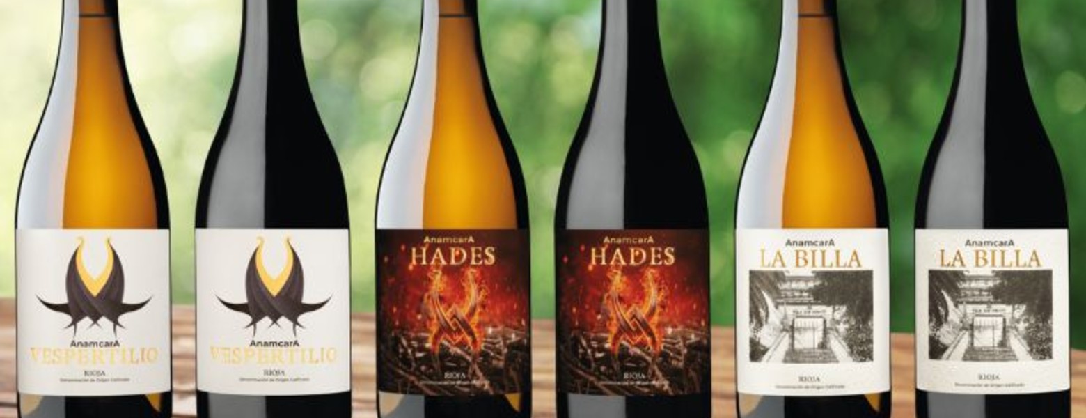 ARUM BODEGAS - Imagen 2