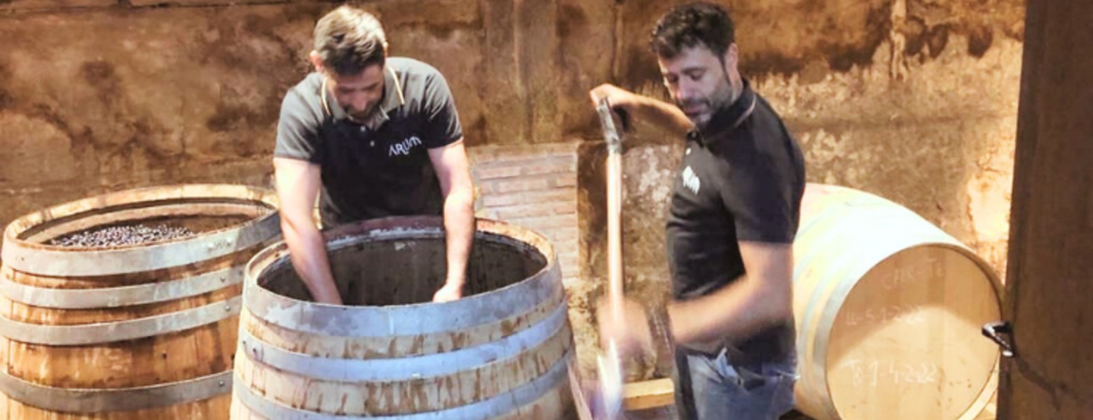 ARUM BODEGAS - Imagen 4