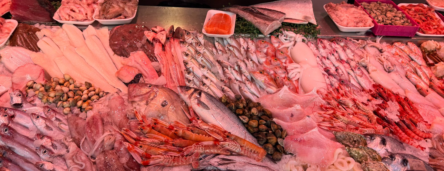 Juanpemart Sl - Imagen 5