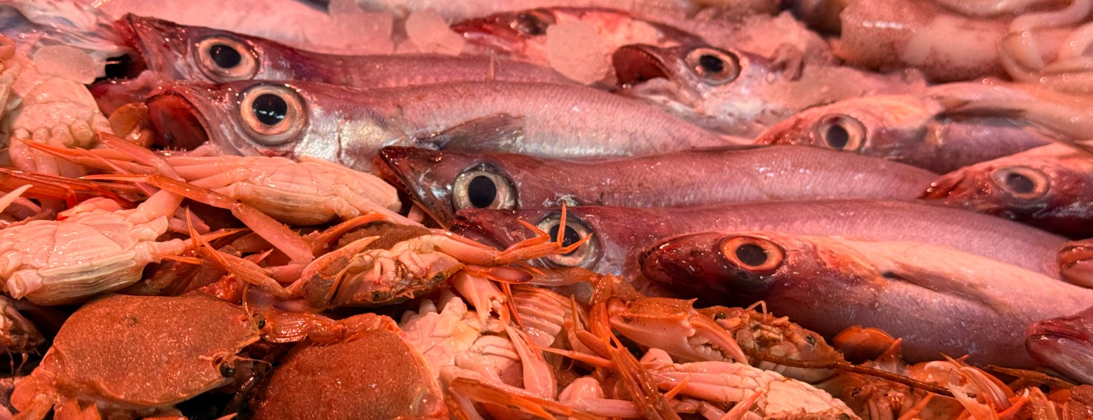 Juanpemart Sl - Imagen 2