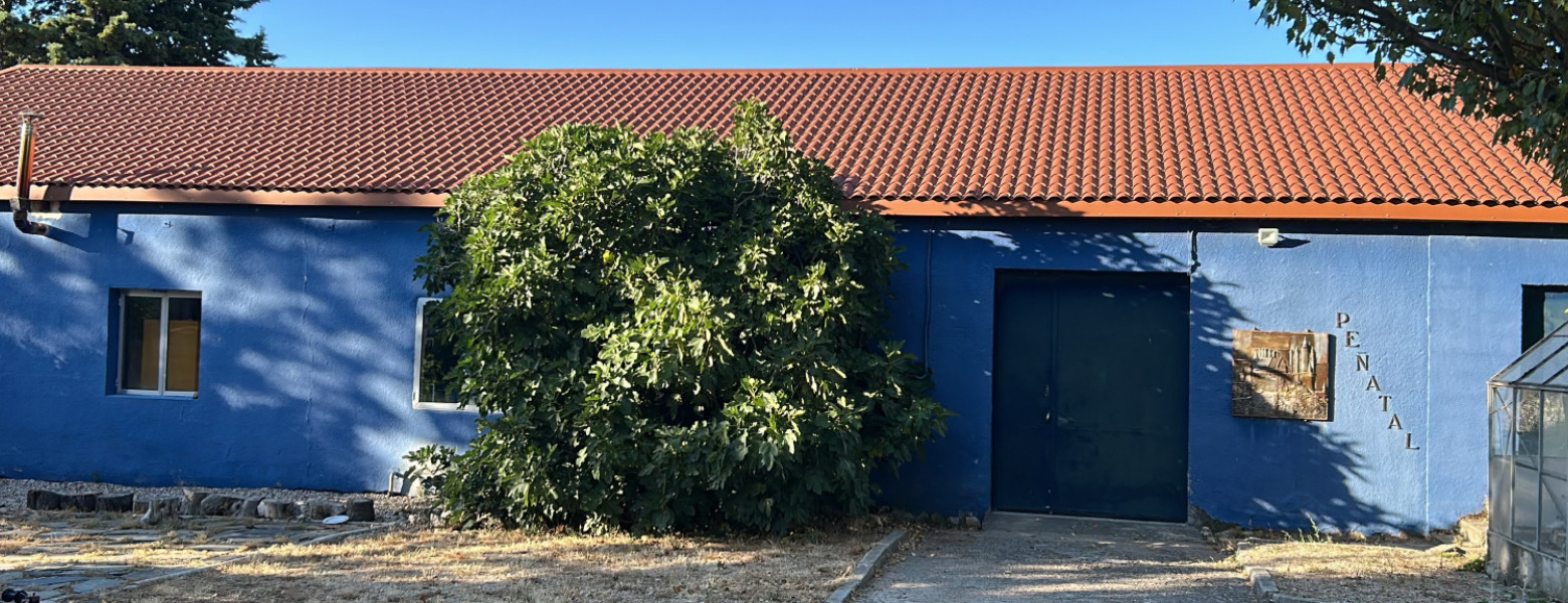 La Cija - Taller de Porcelana - Imagen 5