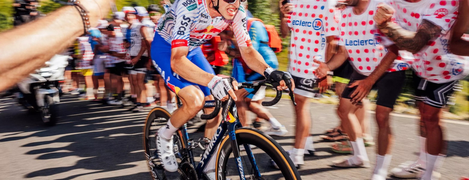 Hogar Ciclos Bicicletas, tienda de bicis en Logroño - Imagen 3