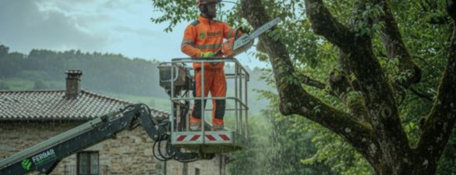 Ferbar Gardens - Mantenimiento de jardines en Bilbao - Imagen 5