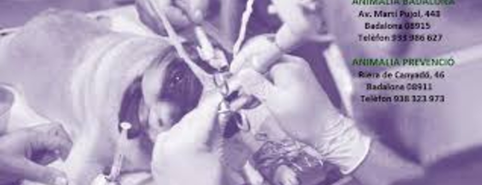 Animalia Badalona Clínica Veterinària - Imagen 1