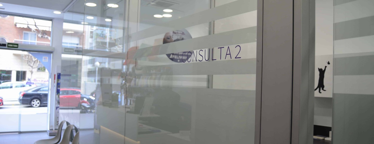 Animalia Badalona Clínica Veterinària - Imagen 5