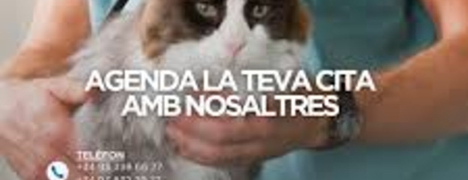 Animalia Badalona Clínica Veterinària - Imagen 4