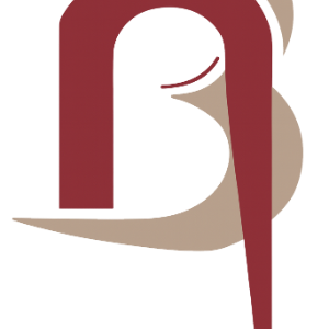 ASESORIA A3 BURGOS SL - Asesor