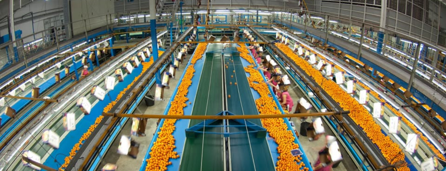 Agrios Selectos - Imagen 1