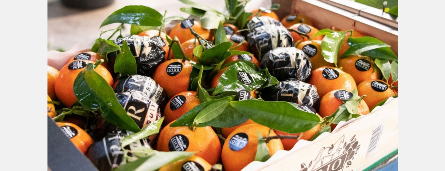 Agrios Selectos - Imagen 4