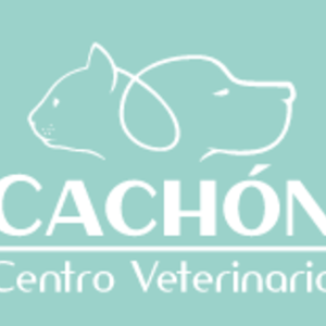 Centro Veterinario Cachón - Animales de compañia en León