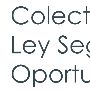 Logo de Colectivo Ley Segunda Oportunidad